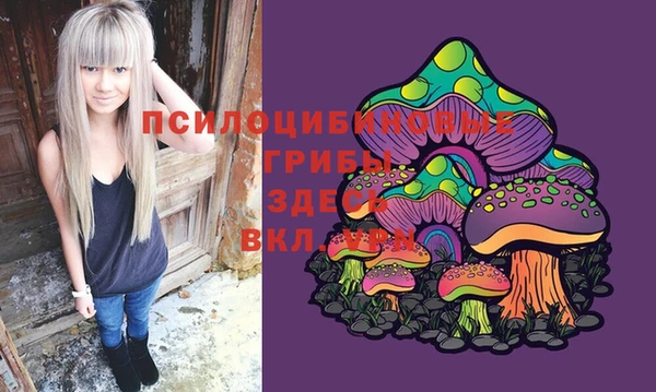 MDMA Premium VHQ Заводоуковск
