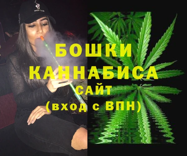 стафф Заволжье