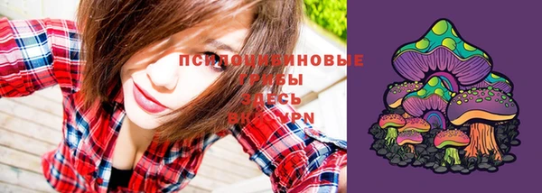 амф Заволжск