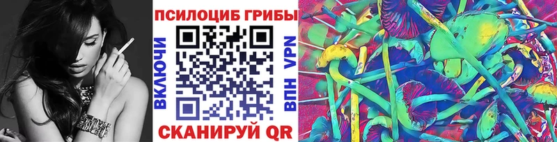 Купить где  Кяхта  Псилоцибиновые грибы ЛСД 
